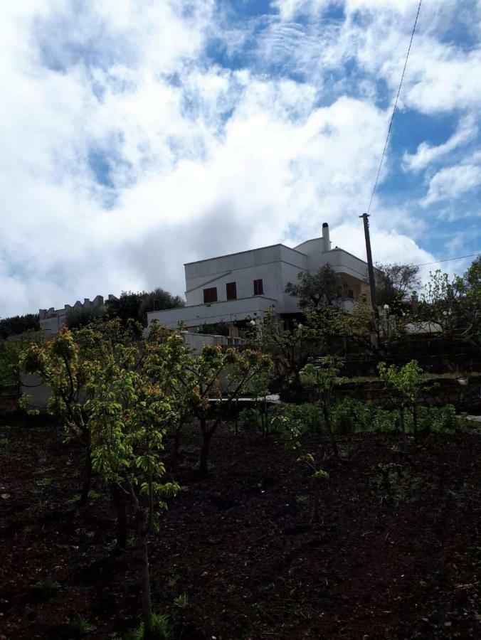 Villa Gardenia أوستوني المظهر الخارجي الصورة